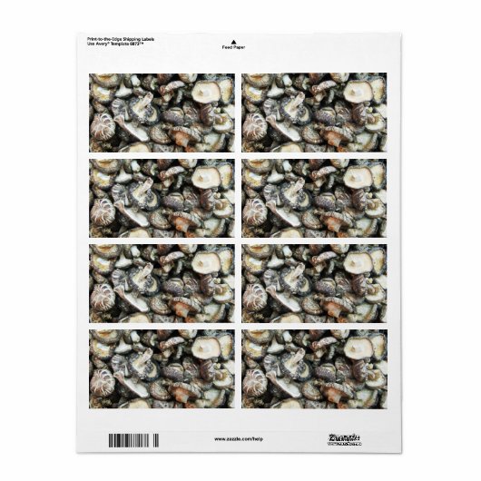 Shiitake Mushrooms (Vorne)