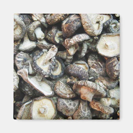 Shiitake Mushrooms Magnet (Vorne)