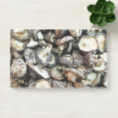 Shiitake Mushrooms Post-it Klebezettel (Büro)