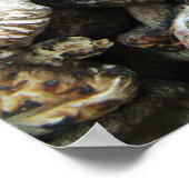 Shiitake Mushrooms Poster (Ecke)