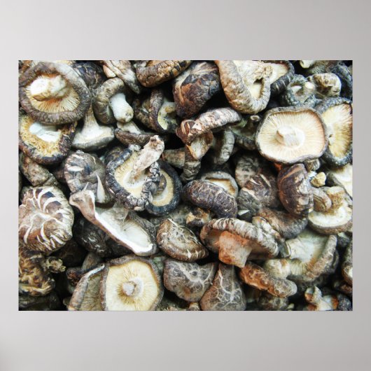 Shiitake Mushrooms Poster (Vorne)