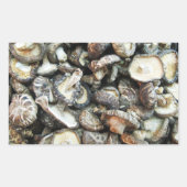Shiitake Mushrooms Rechteckiger Aufkleber (Vorderseite)