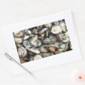 Shiitake Mushrooms Rechteckiger Aufkleber (Umschlag)