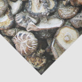 Shiitake Mushrooms Seidenpapier (Ausschnitt)