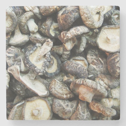 Shiitake Mushrooms Steinuntersetzer (Vorderseite)