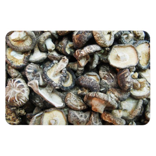 Shiitake-Pilze Magnet (Horizontal)