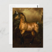 Shikoba Indianerpferd Postkarte (Vorne/Hinten)