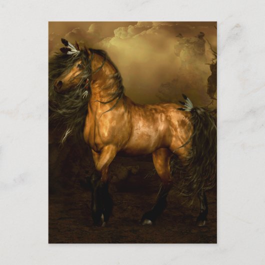 Shikoba Indianerpferd Postkarte (Vorderseite)