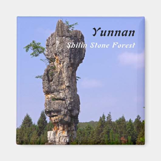 Shilin pinnacles Steinwald - Yunnan, China, Asien Magnet (Vorne)