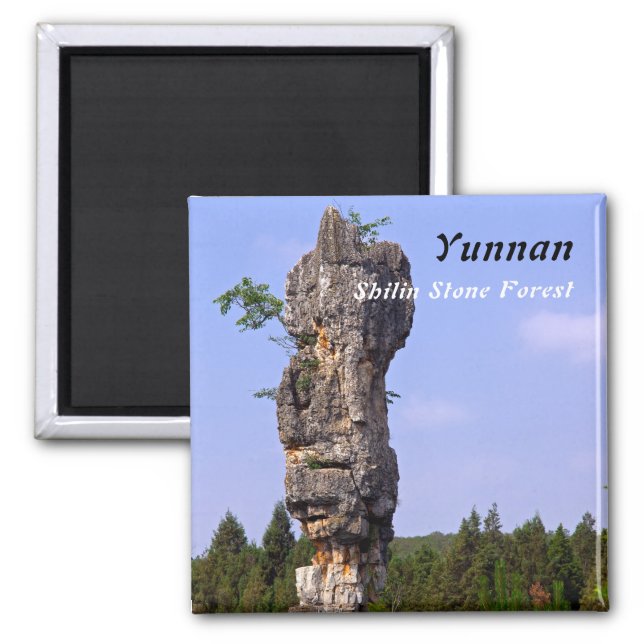 Shilin pinnacles Steinwald - Yunnan, China, Asien Magnet (Vorne)