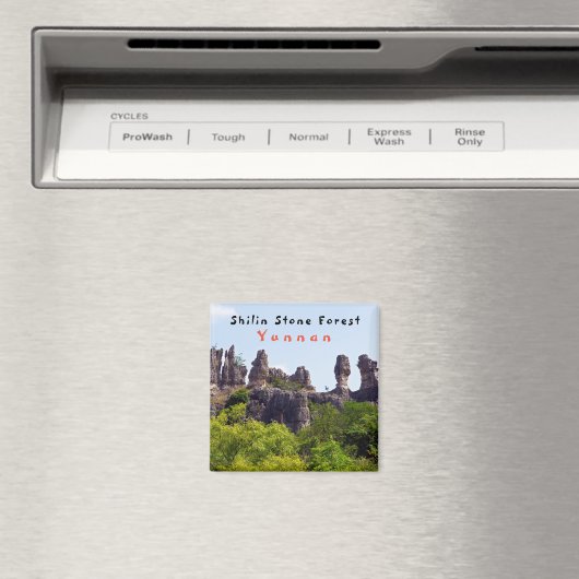 Shilin pinnacles Steinwald - Yunnan, China, Asien Magnet (In Situ (Geschirrspüler))