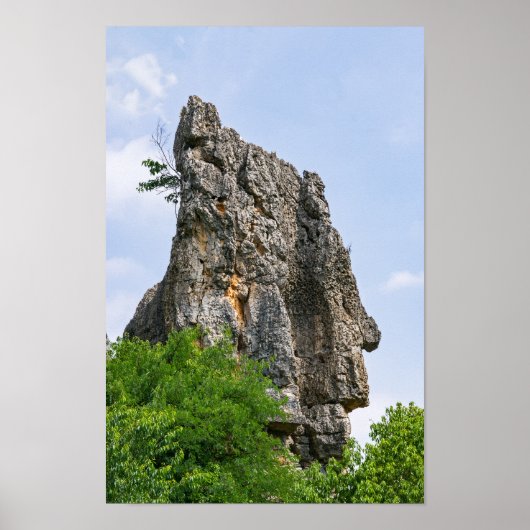 Shilin pinnacles Steinwald - Yunnan, China, Asien Poster (Vorne)