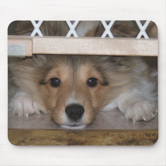 Shiloh Mousepad (Vorne)