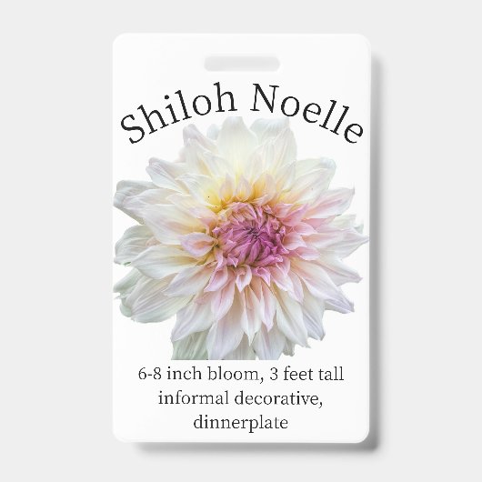 Shiloh Noelle Dahlia ID Abzeichen Ausweis (Vorderseite)
