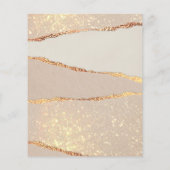 Shimmer-Flyer Flyer (Hinten)