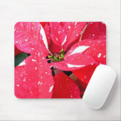 Shimmer Star Überraschung Poinsettia Holiday Flora Mousepad (Mit Mouse)