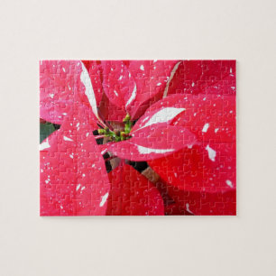 Shimmer Star Überraschung Poinsettia Holiday Flora Puzzle