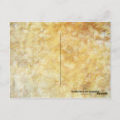 Shimmerfly Postcard Postkarte (Rückseite)