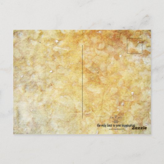 Shimmerfly Postcard Postkarte (Rückseite)