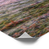 Shine Dome Poster (Ecke)