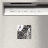 Shine on magnet (In Situ (Geschirrspüler))