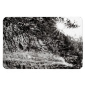 Shine on magnet (Horizontal)