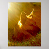Shine on Me German Shepherd #1 Poster (Vorne)