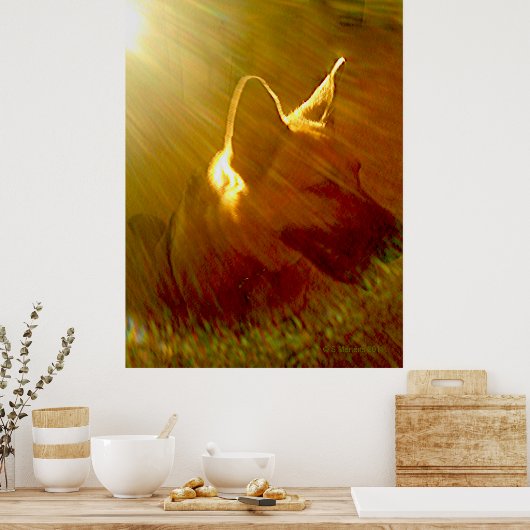 Shine on Me German Shepherd #1 Poster (Küche)
