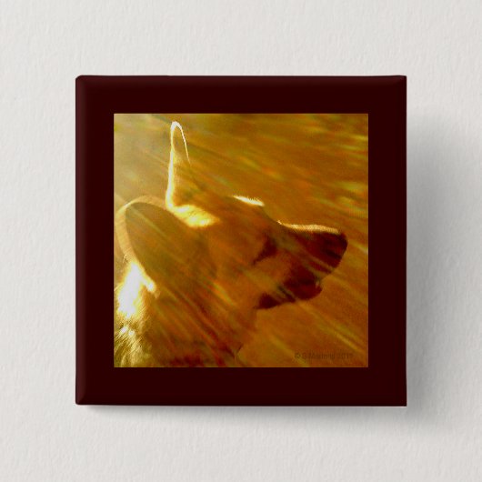 Shine on Me German Shepherd #2 Button (Vorderseite)