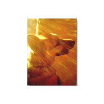 Shine on Me German Shepherd #2