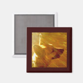 Shine on Me German Shepherd #2 Magnet (Vorderseite/Rückseite)