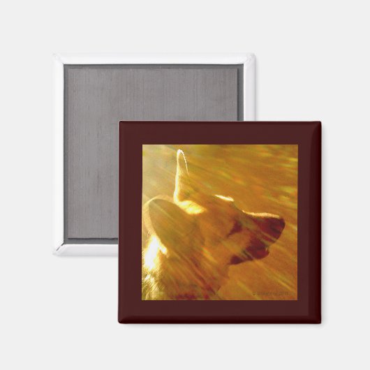 Shine on Me German Shepherd #2 Magnet (Vorderseite/Rückseite)