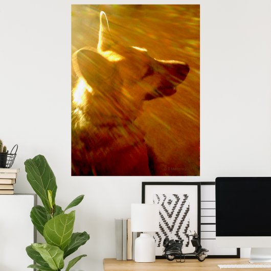 Shine on Me German Shepherd #2 Poster (Heimbüro)