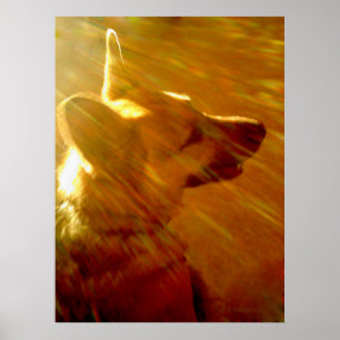 Shine on Me German Shepherd #2 Poster