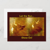 Shine on me German Shepherd Postkarte (Vorne/Hinten)