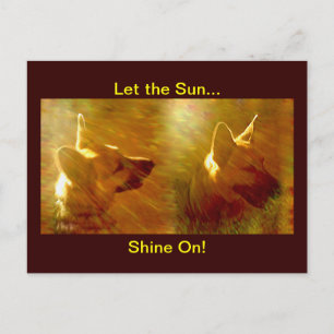 Shine on me German Shepherd Postkarte