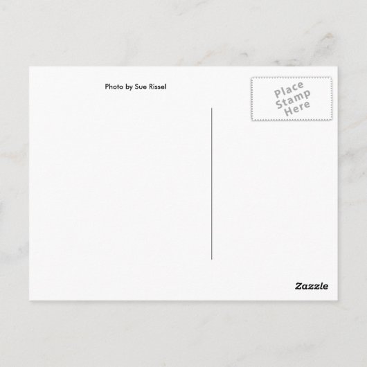 Shine Postkarte (Rückseite)