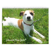 Shinese Kalender (Titelbild)