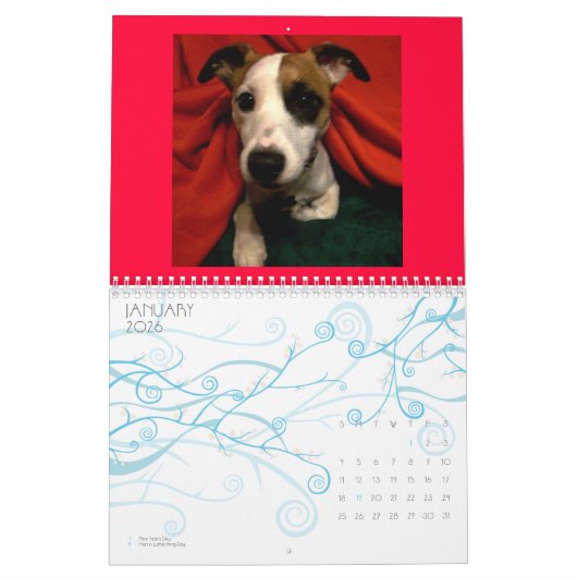 Shinese Kalender (Jan 2026)