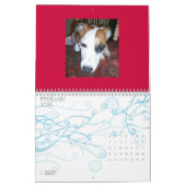 Shinese Kalender (Feb 2026)