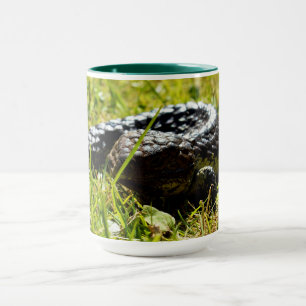 Shingleback Lizard on Grass, Kaffee Tasse