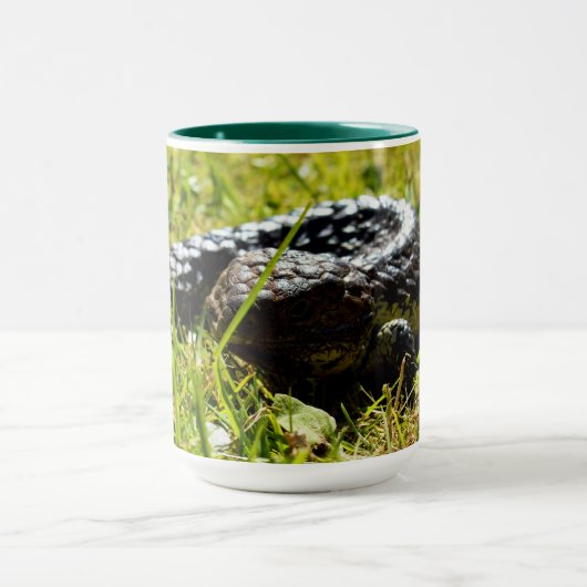 Shingleback Lizard on Grass, Kaffee Tasse (Zentrum)