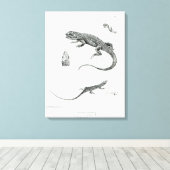 Shingled Iguana Leinwanddruck (Insitu (Holzboden))