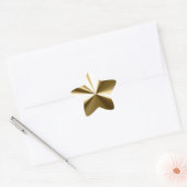 Shining Gold Star Stickers (Umschlag)