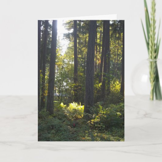 Shining Light - Folded Greeting Card Karte (Vorderseite)