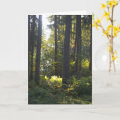 Shining Light - Folded Greeting Card Karte (Gelbe Blume)