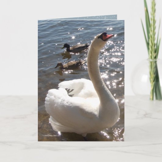 Shining Star Karte (Vorderseite)