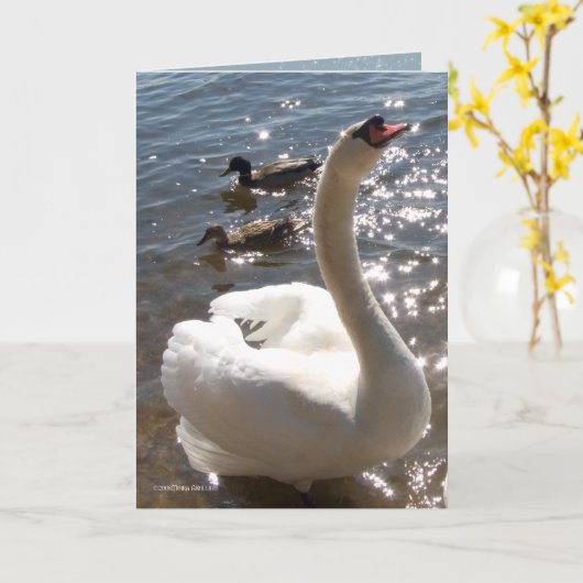 Shining Star Karte (Gelbe Blume)