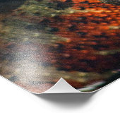 Shinisaurus crocodilurus fotodruck (Ecke)