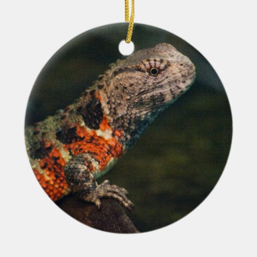 Shinisaurus crocodilurus keramik ornament (Vorne)